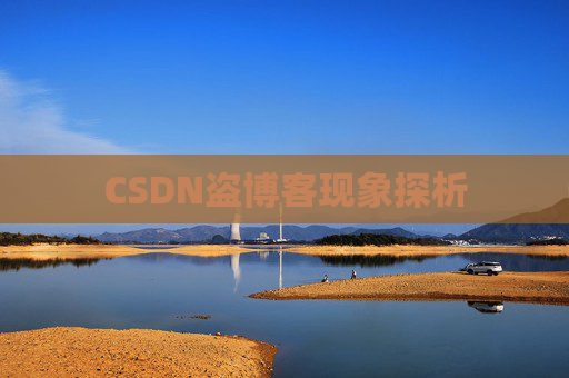 CSDN盗博客现象探析 CSDN盗博客现象探析